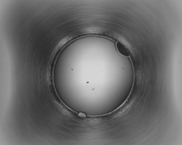 X0000116380930200912021517