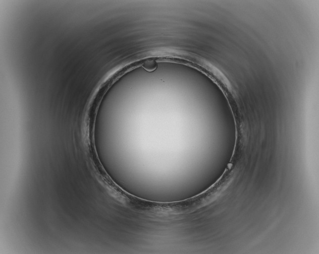 X0000116380931200912021517