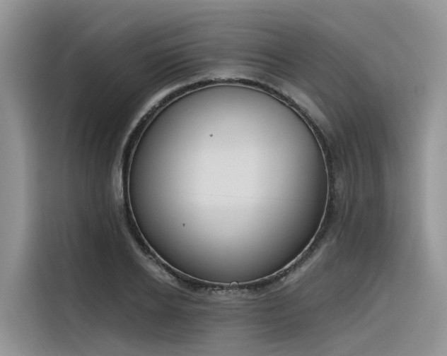 X0000116380934200912021517