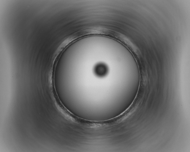 X0000116380938200912021517