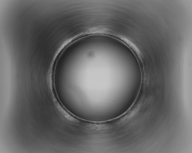 X0000116380941200912021517