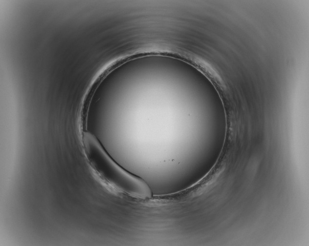 X0000116380942200912021517