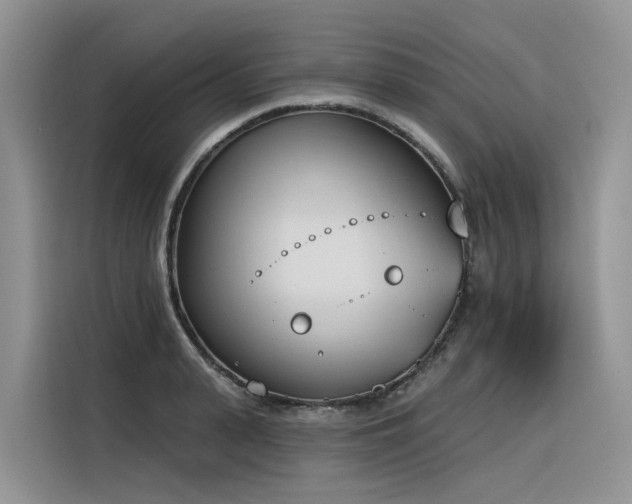 X0000116380943200912021517