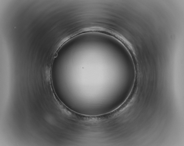 X0000116380945200912021517