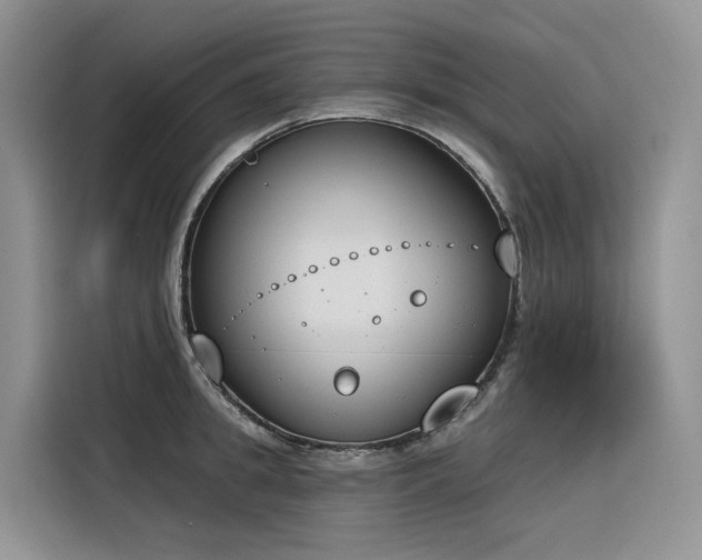 X0000116380949200912021517