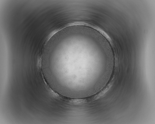 X0000116380953200912021517
