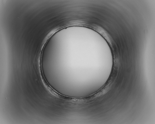 X0000116380954200912021517