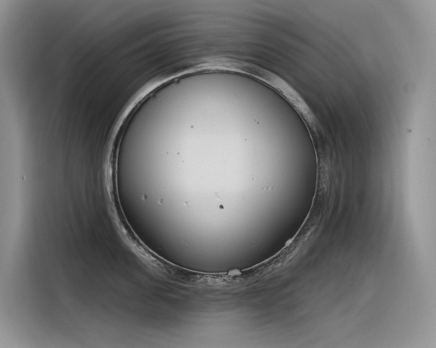 X0000116380955200912021517