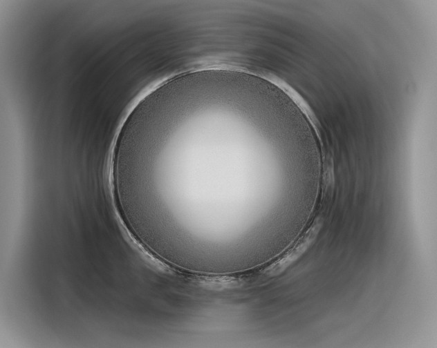 X0000116380957200912021517