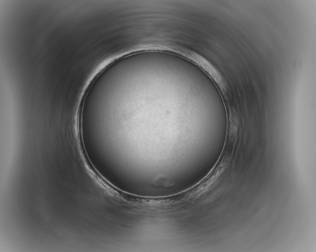 X0000116380958200912021517
