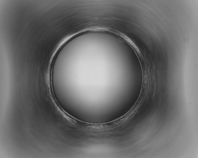 X0000116380959200912021517