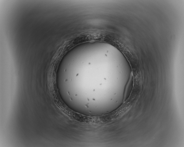 X0000116380961200912021516