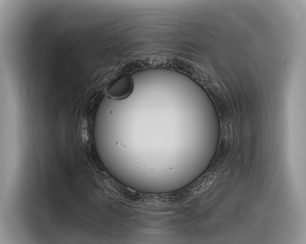 X0000116380962200912021516