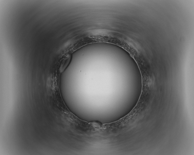 X0000116380965200912021516