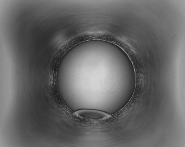 X0000116380966200912021516