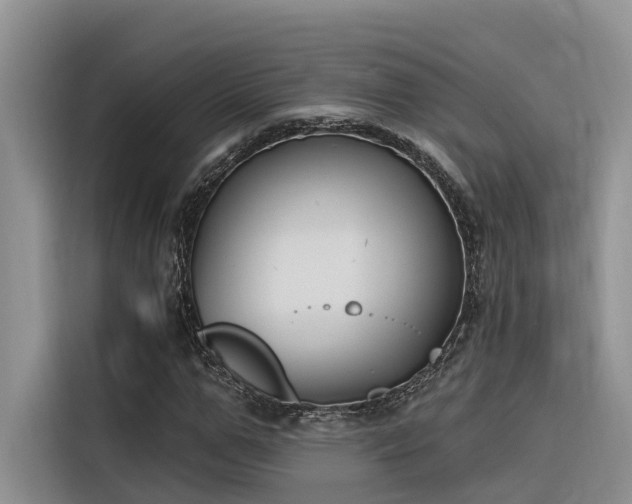 X0000116380967200912021516