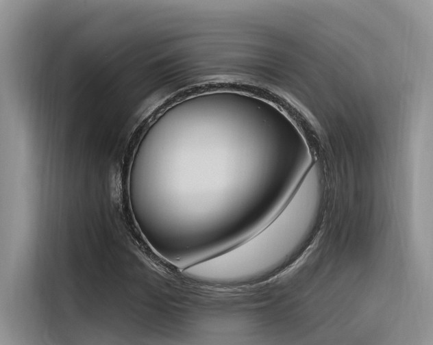 X0000116380969200912021516