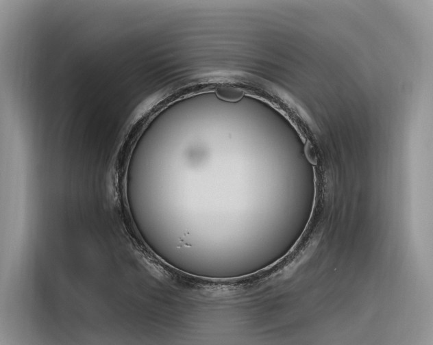X0000116380970200912021516