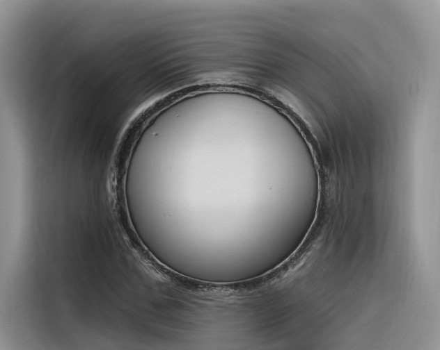 X0000116380971200912021516