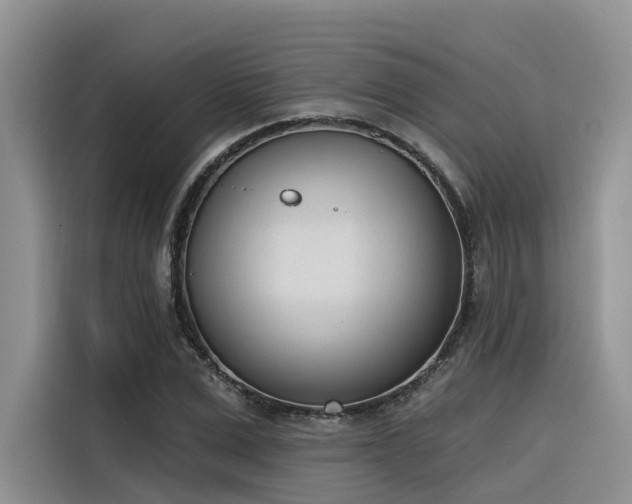 X0000116380975200912021516