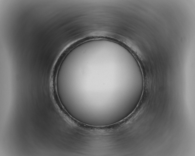 X0000116380976200912021516