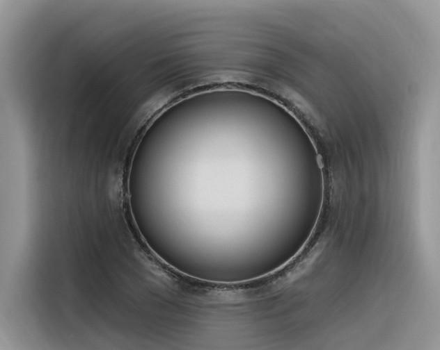 X0000116380977200912021516