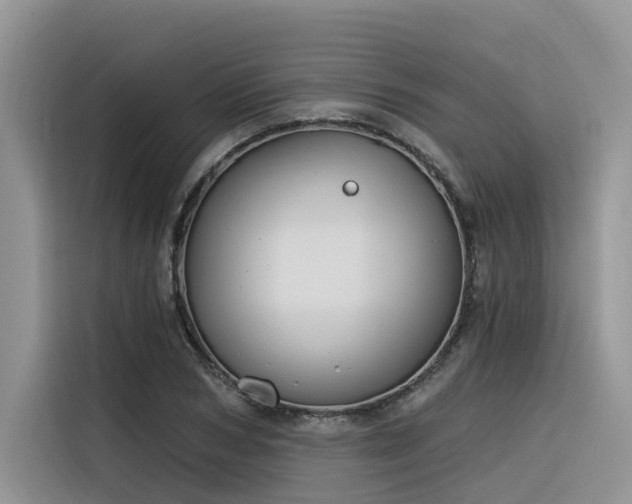 X0000116380978200912021516