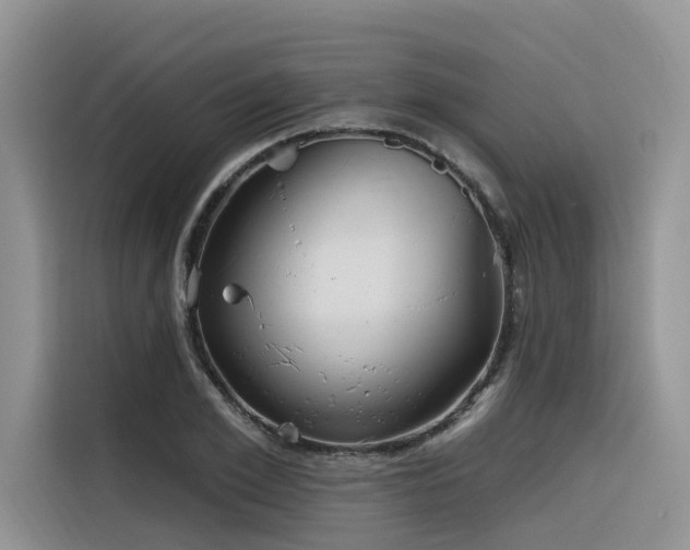X0000116380981200912021516