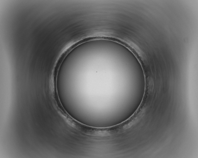 X0000116380982200912021516