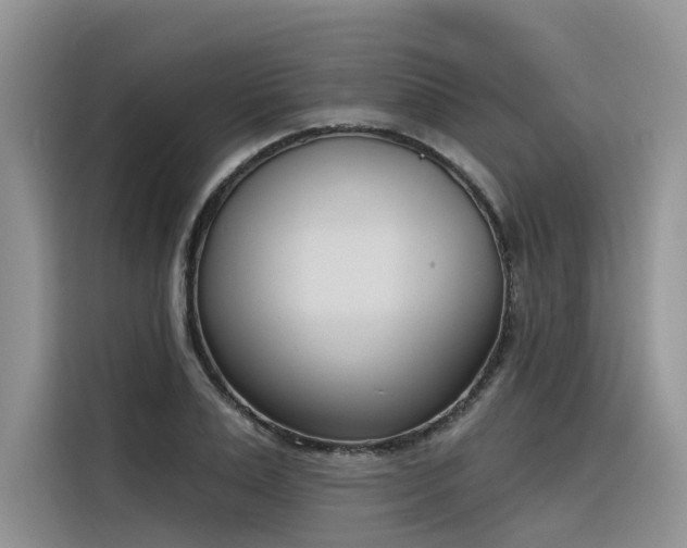 X0000116380983200912021516