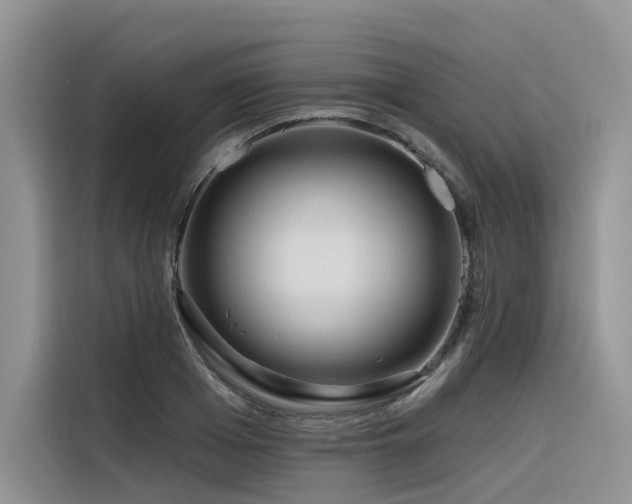 X0000116380985200912021516