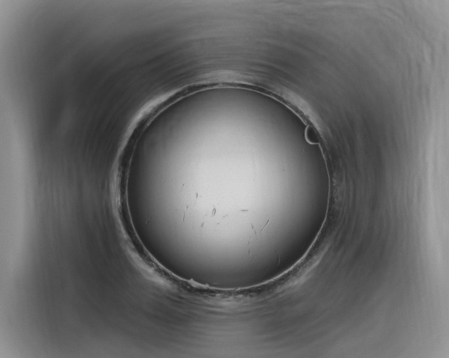 X0000116380987200912021516