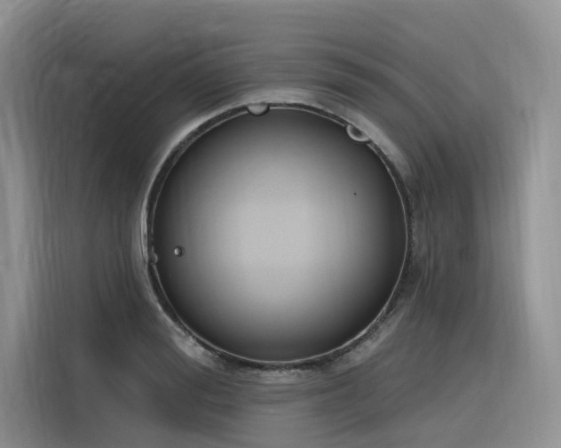 X0000116380988200912021516