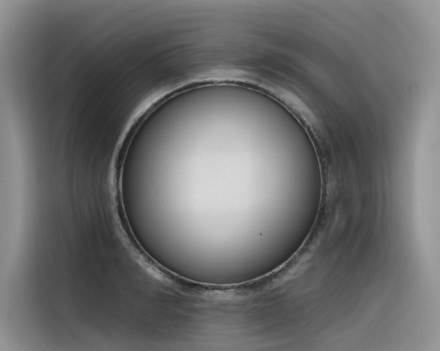 X0000116380990200912021516