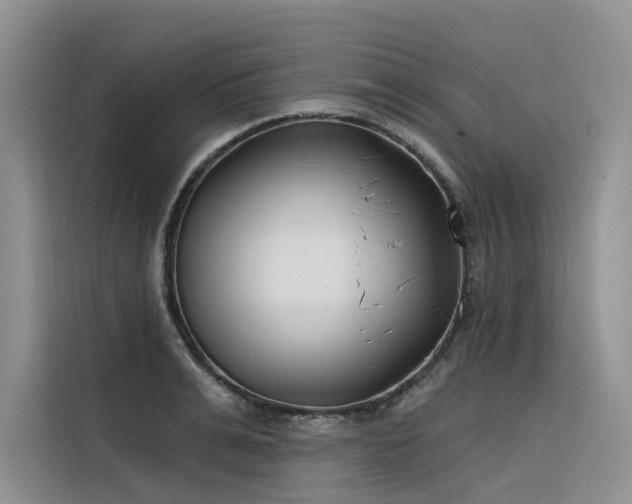 X0000116380991200912021516