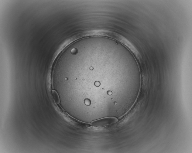 X0000116380994200912021516