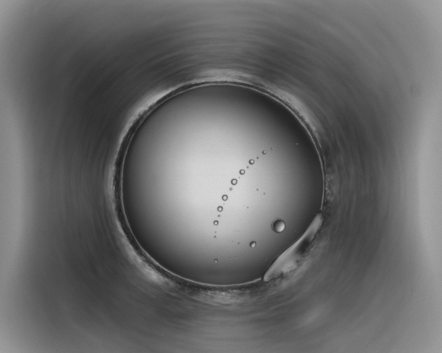 X0000116380995200912021516