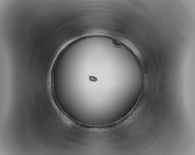 X0000116380996200912021516