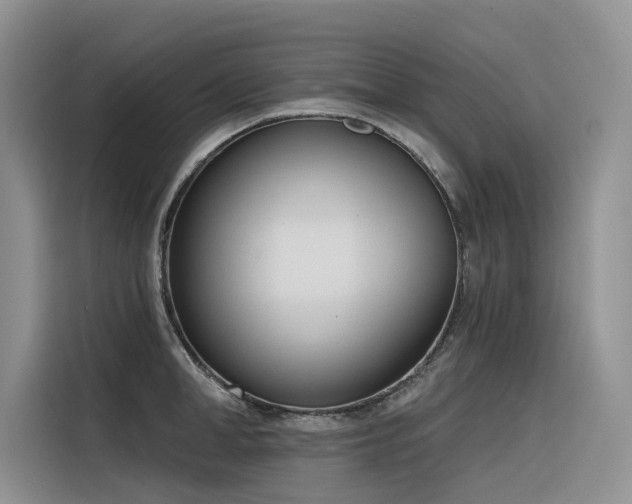 X0000116380998200912021516
