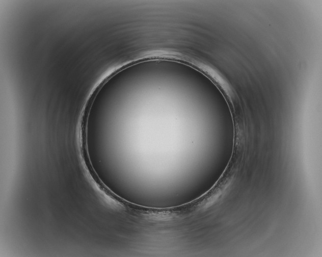 X0000116380999200912021516
