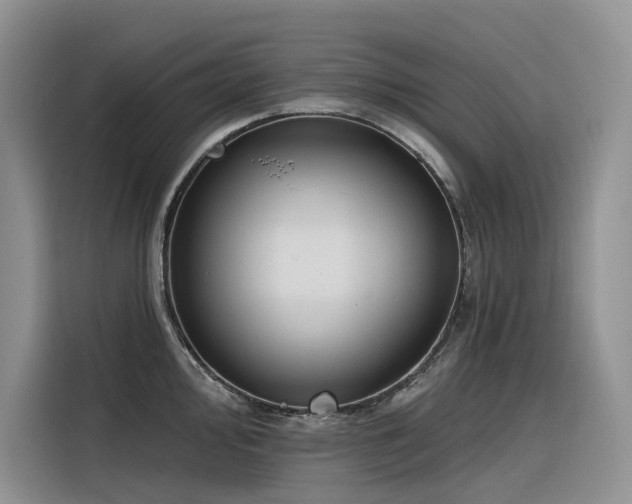 X0000116381000200912021516