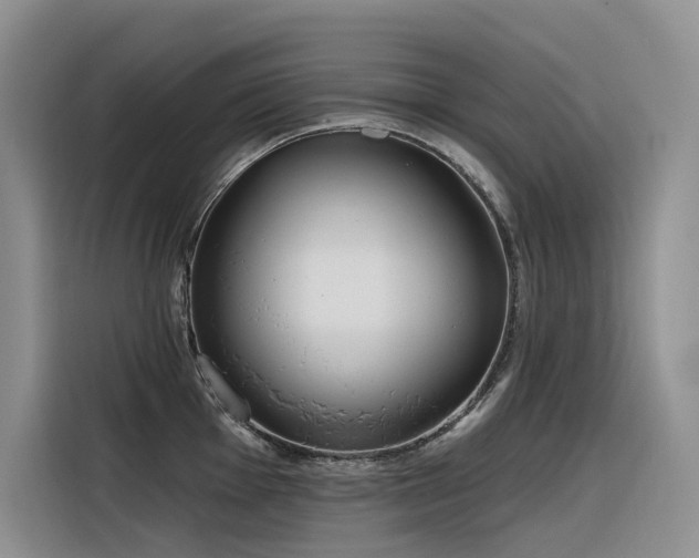 X0000116381001200912021516