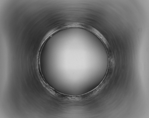 X0000116381002200912021516