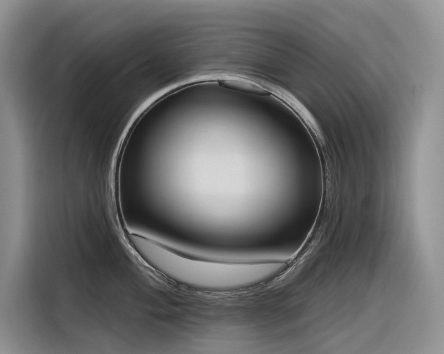 X0000116381004200912021516