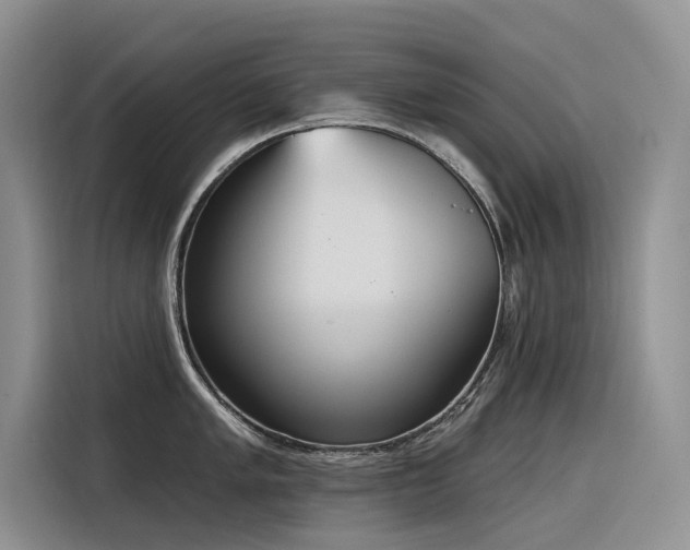 X0000116381005200912021516