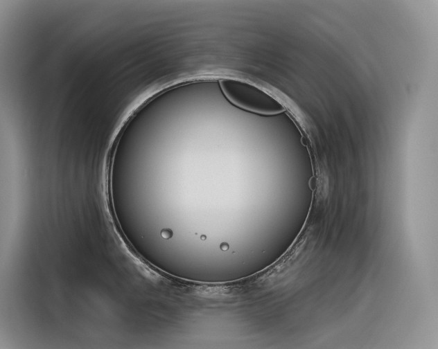 X0000116381006200912021516