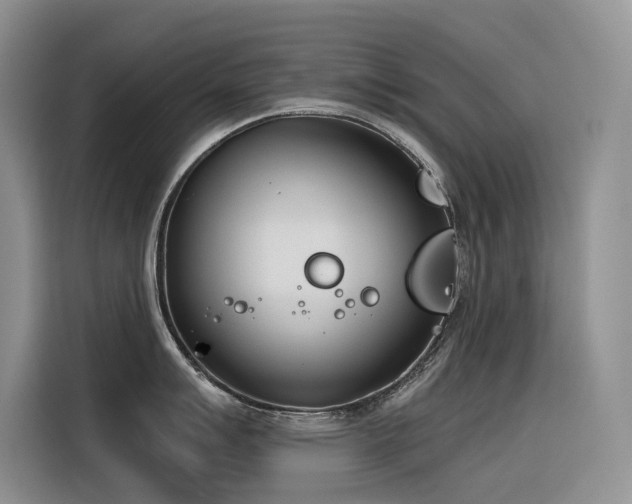 X0000116381007200912021516