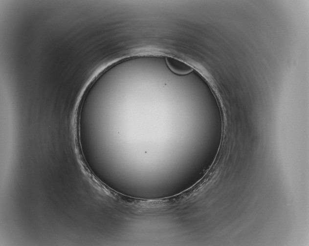 X0000116381008200912021516