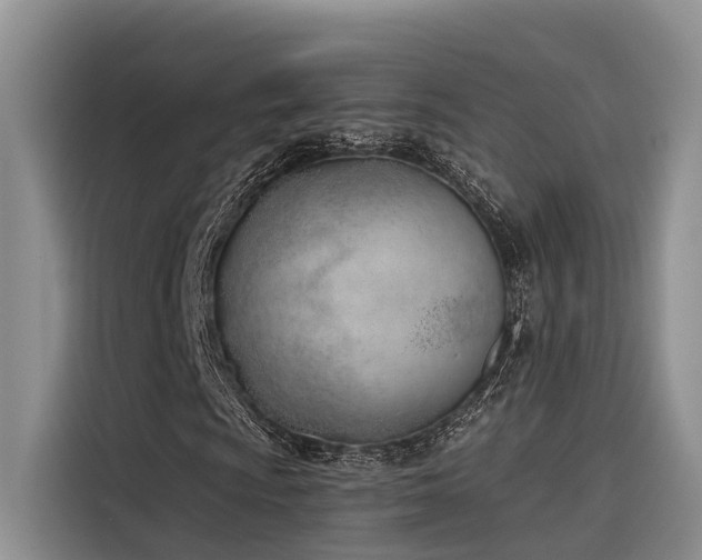 X0000116381009200912021515