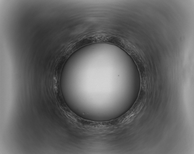 X0000116381010200912021515
